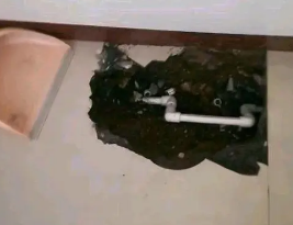 肇东卫生间测漏水多少钱